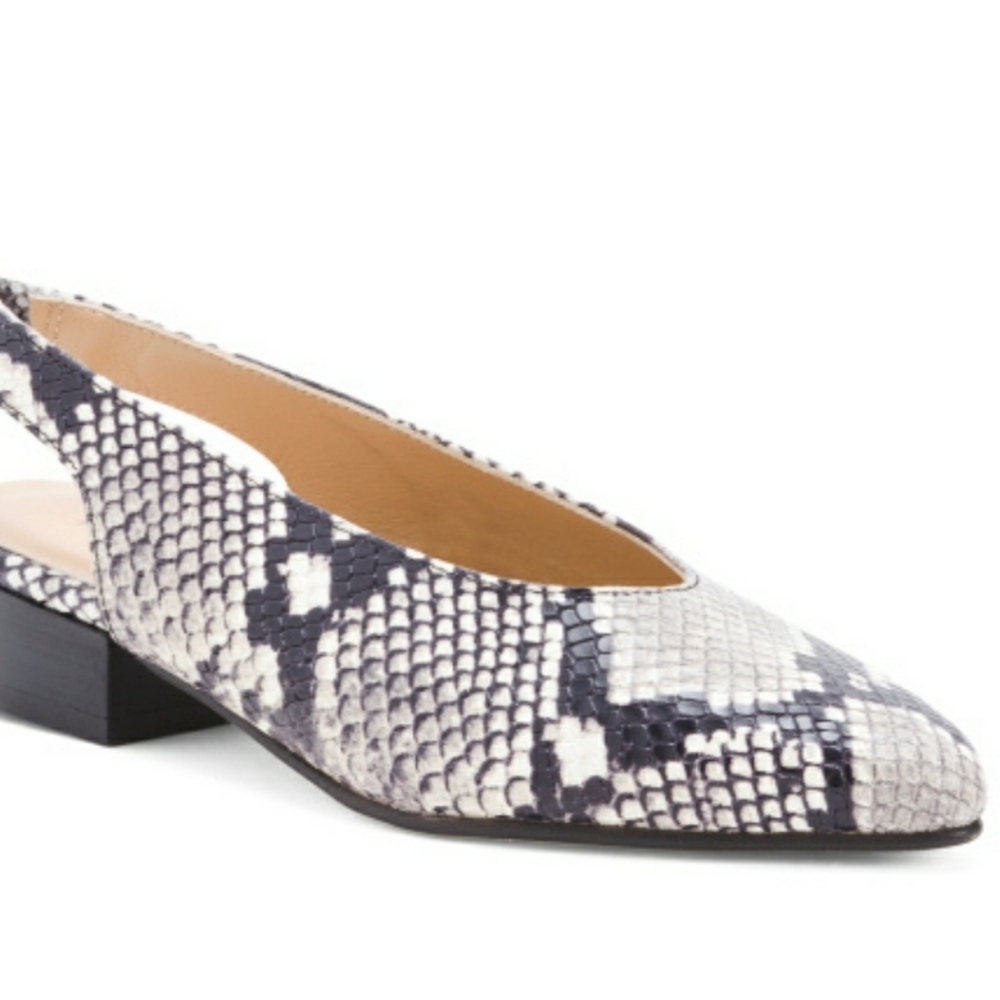 Avellini
| Snake Print | Slingback Shoe